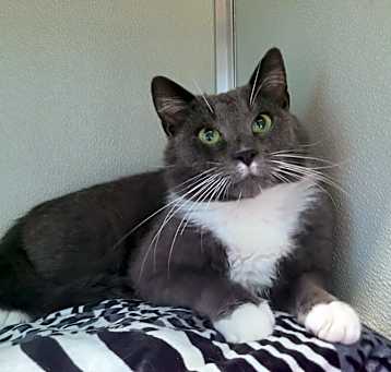 Photo of Murphy