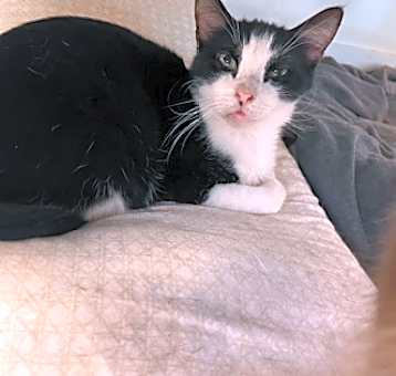 Photo of CHASE