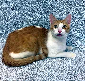 Photo of Garvey