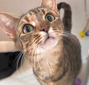 Photo of Fiona