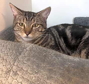 Photo of Tom