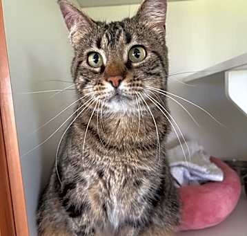 Photo of Pixel FKA Neptune