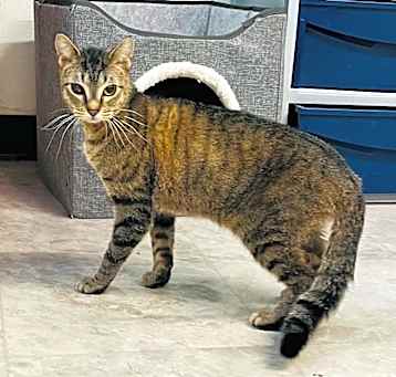 Photo of Butterball