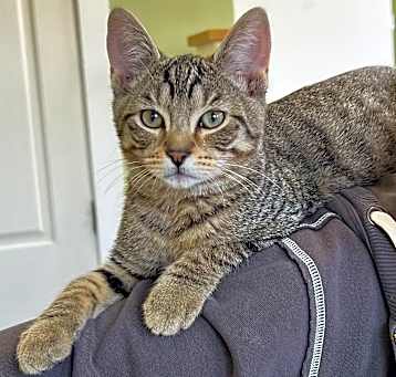 Photo of Tango