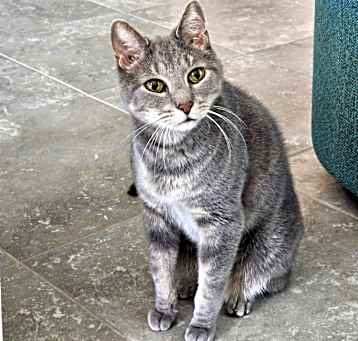 Photo of Tuffy