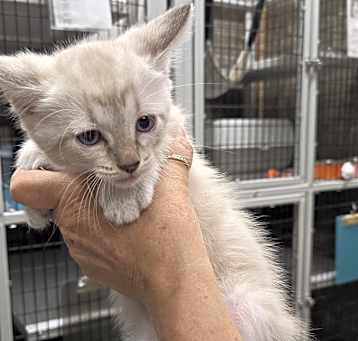 Photo of 2025-05 Freya