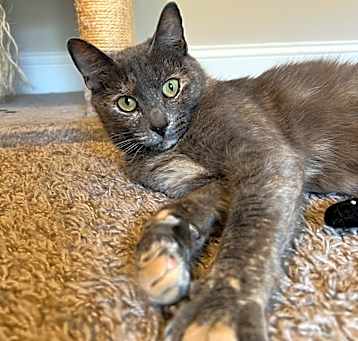 Photo of Elara