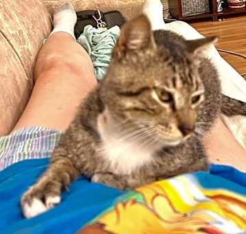 Photo of Calvin