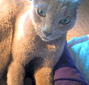 Photo of Gery
