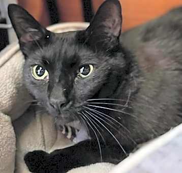 Photo of Rodney