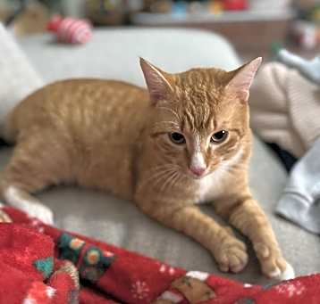 Photo of Theo
