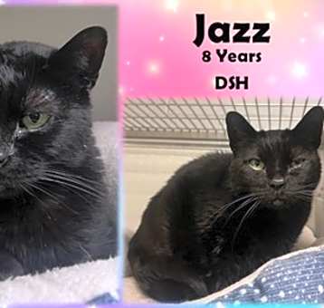 Photo of Jazz