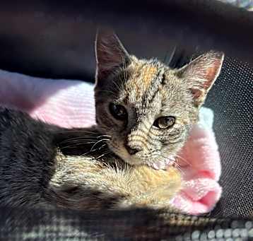 Photo of Hazel