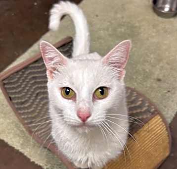 Photo of Robin - Sweet & Friendly