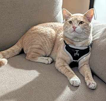 Photo of Oliver