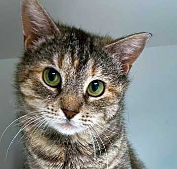 Photo of Rosie