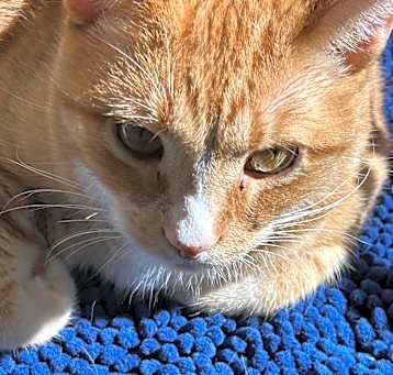 Photo of Handsome