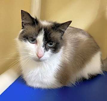 Photo of Hazel