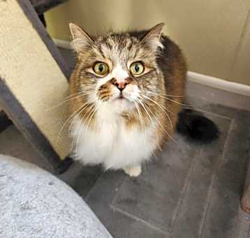 Photo of Kingston