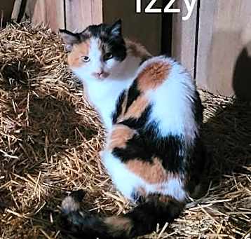 Photo of Izzy