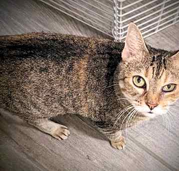 Photo of Kitney Pawyer