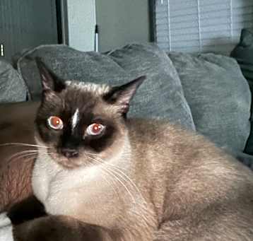 Photo of Charlie