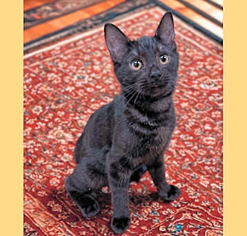 Photo of Reki