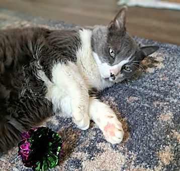 Photo of Ms. Boots