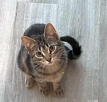 Photo of Ghost