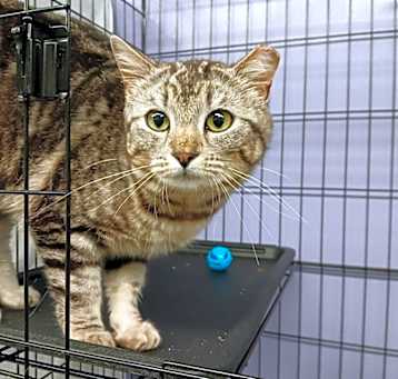 Photo of Feral 7 - EC