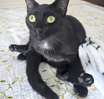 Photo of Miss Moneypenny