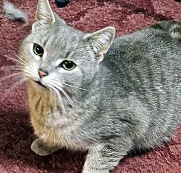 Photo of Molly Weasley
