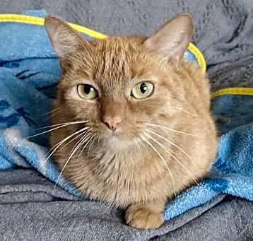 Photo of Padmae