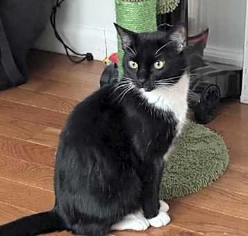 Photo of Ruby