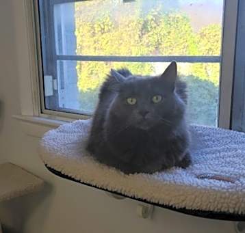 Photo of Roxy