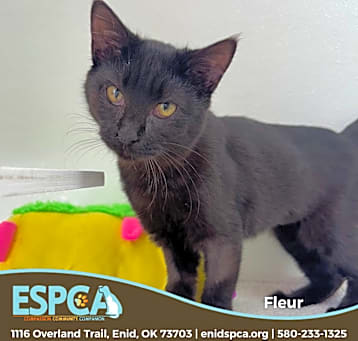 Photo of Fleur