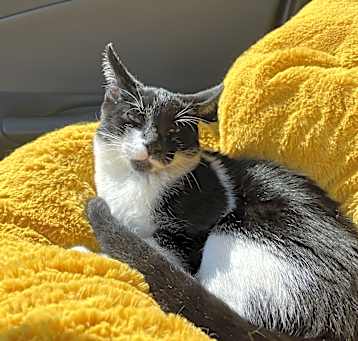 Photo of Precious