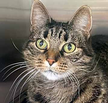 Photo of Tabitha