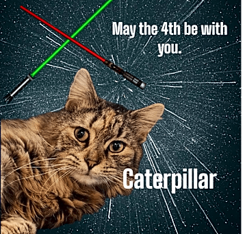 Photo of Caterpillar
