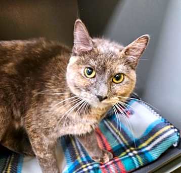 Photo of Wilma