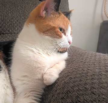 Photo of Kiara