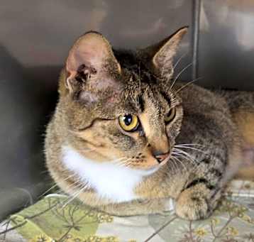 Photo of Tabitha