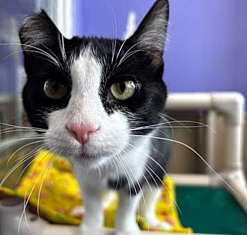 Photo of Tabitha