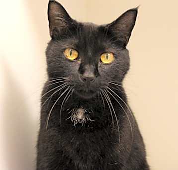 Photo of Marceline