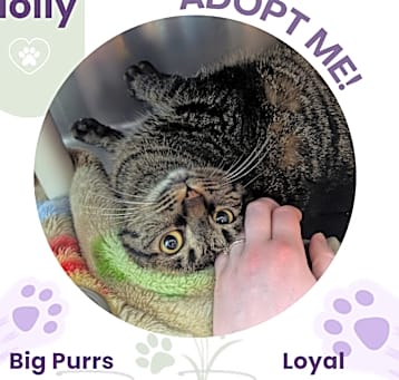 Photo of Holly 