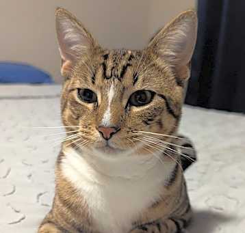 Photo of Obi Wan