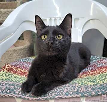Photo of Izzy