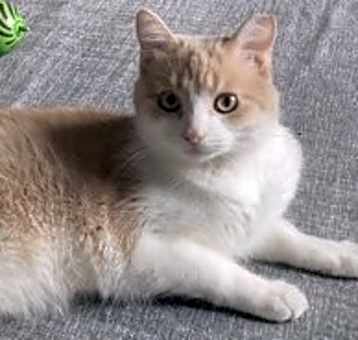 Photo of Junior