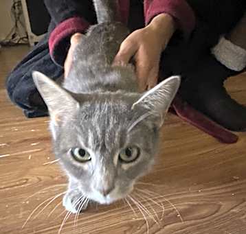 Photo of Silvie