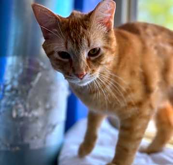 Photo of Benny